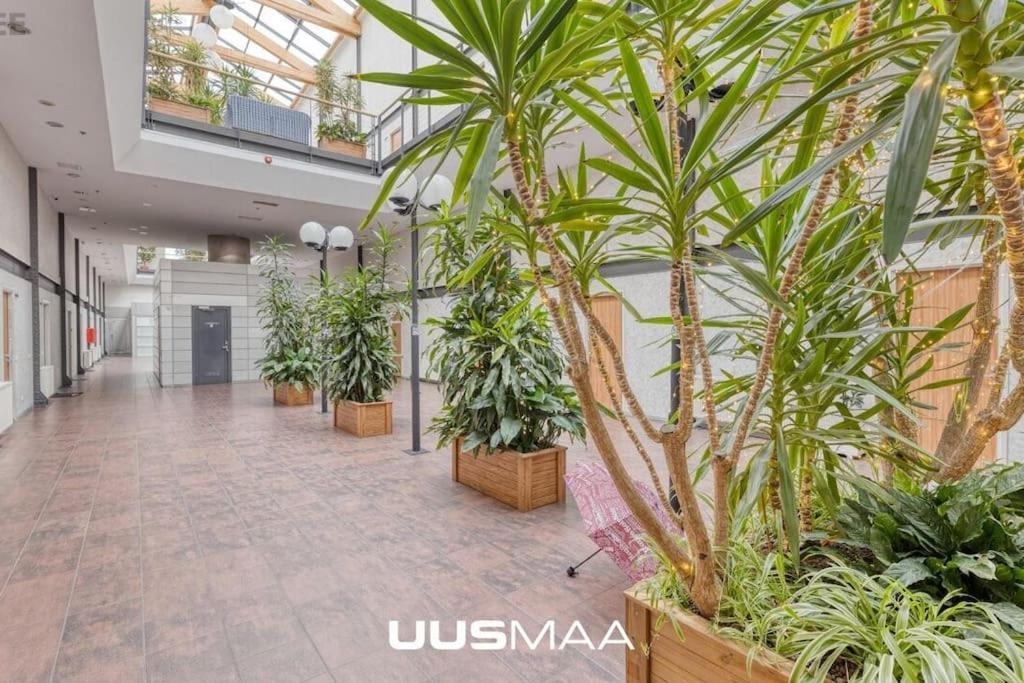 Charming Loft Near Old Town Apartment Tallinn Bagian luar foto